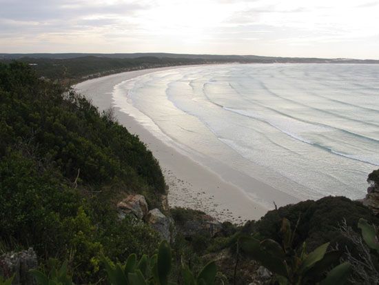 Great Ocean Road - Cape Bridgewater