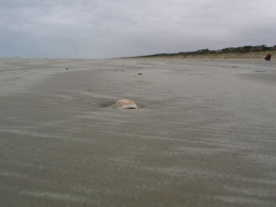 Coorong National Park