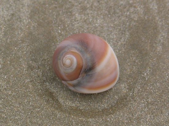 Coorong National Park