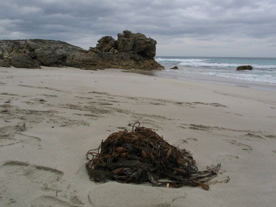 Kangaroo Island