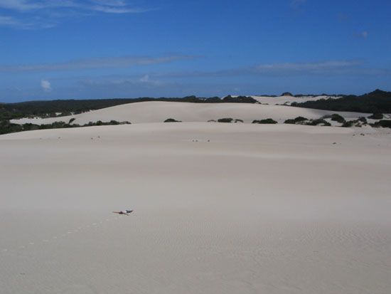 Kangaroo Island - Little Sahara