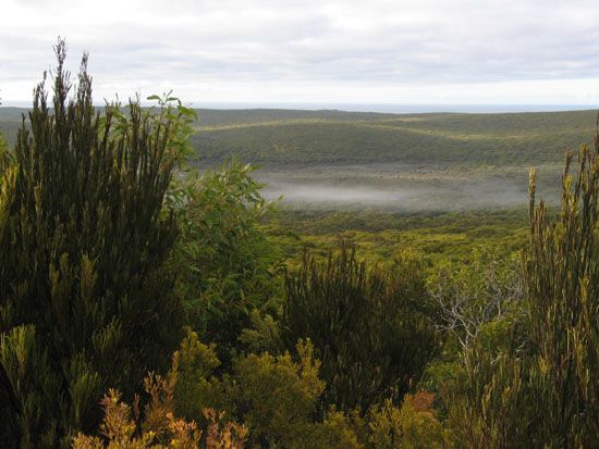 Kangaroo Island