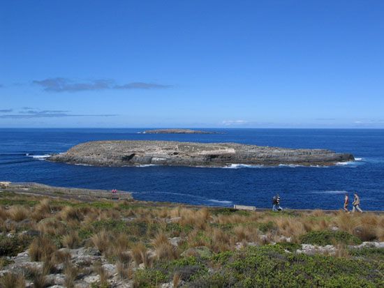 Kangaroo Island - Cape du Couedic
