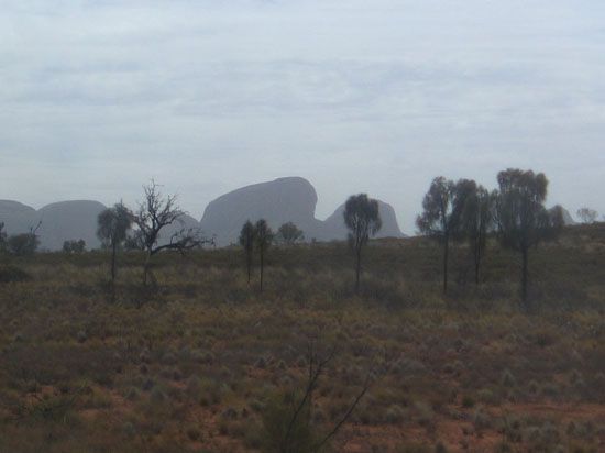 Kata Tjuta (Olgas)