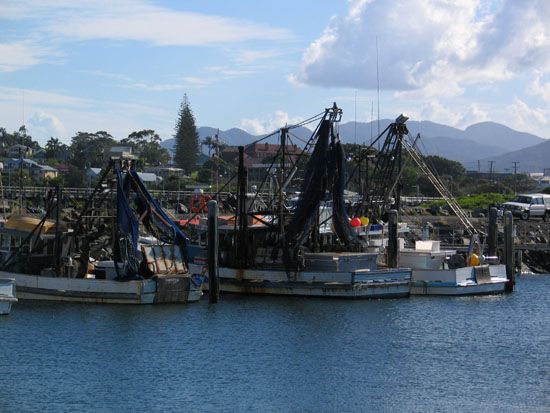 Coffs Harbour - Hafen