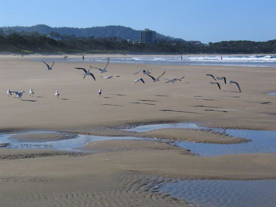 Coffs Harbour - Park Beach