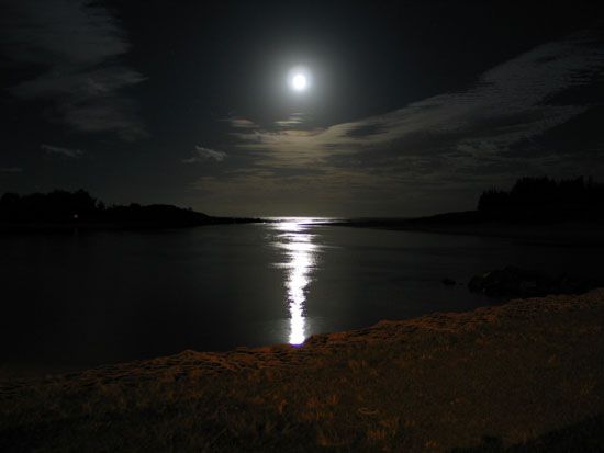 Coffs Harbour - Park Beach