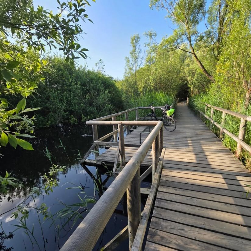 Radtour durch den Müritz Nationalpark