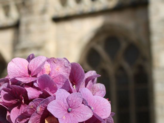 Locronan - Kirche