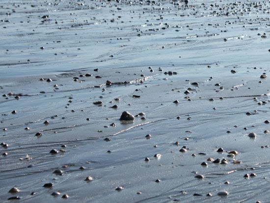 Larmor-Plage - am Strand