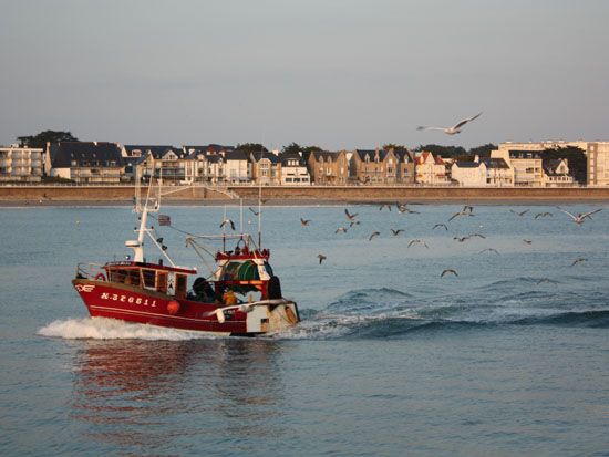 Quiberon - heimkehrendes Fischerboot