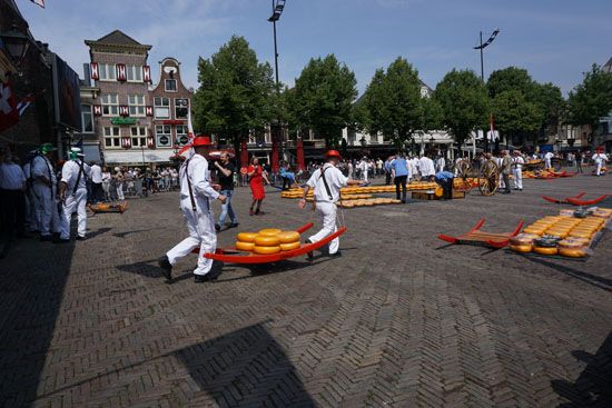 Käsemarkt in Alkmaar