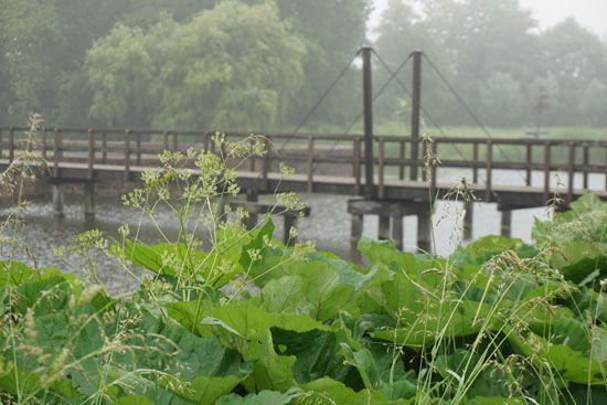 Wasserschlossruine der Grafen von Egmond