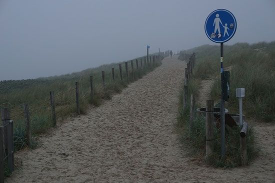 Weg in die Dünen