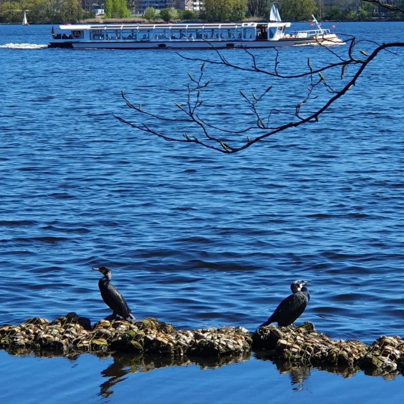 An der Alster