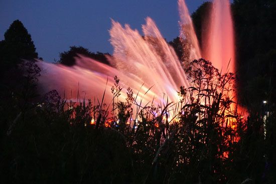 Wasserlichtkonzert in Planten un Blomen