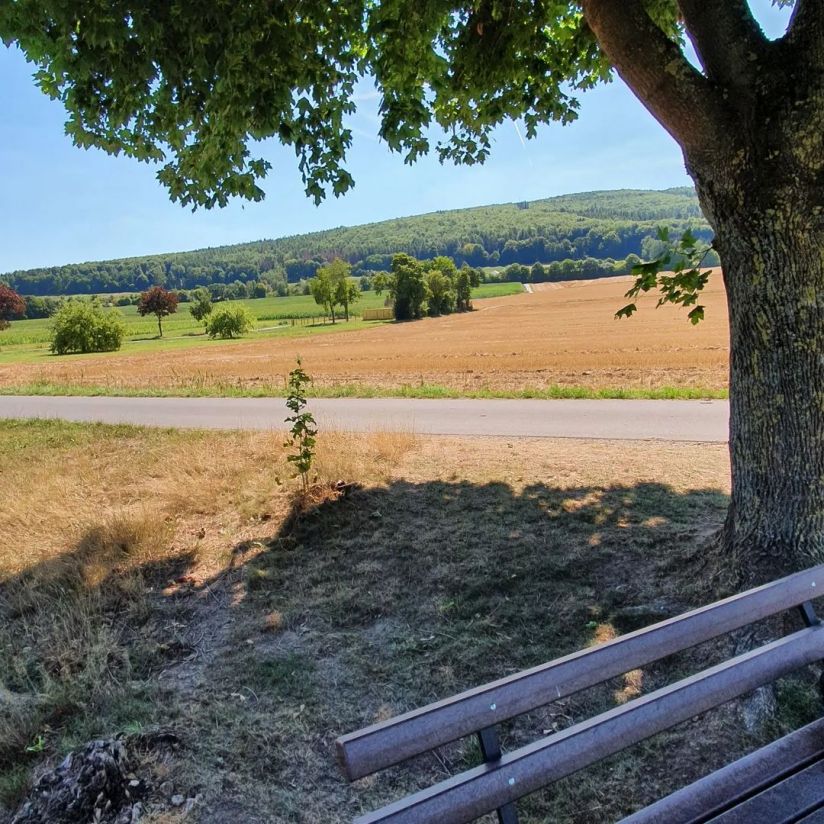 Pause auf schattiger Bank