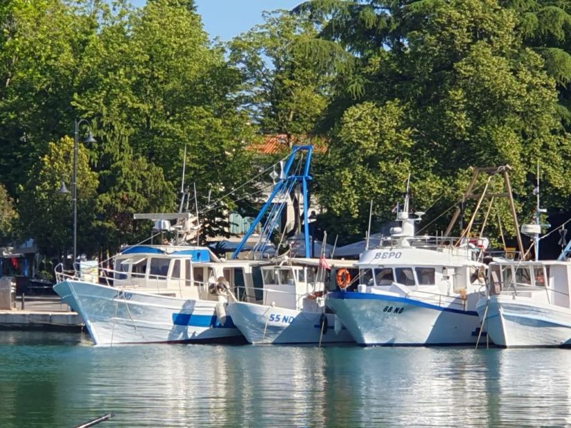 Hafen von Novigrad