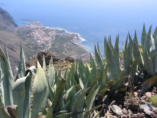 Valle Gran Rey - Wanderung nach Arure