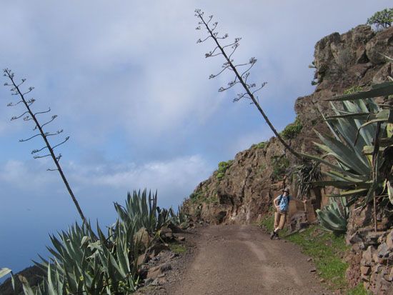 bei Arure - Wanderung nach Arure