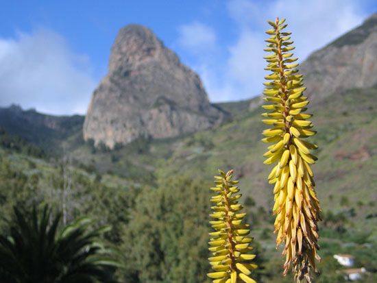 Benchijígua - Wanderung nach Benchijígua