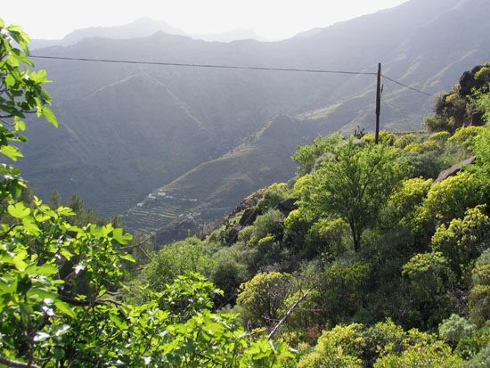 Benchijígua - Wanderung nach Benchijígua