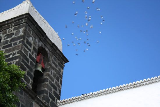 Santa Cruz de la Palma