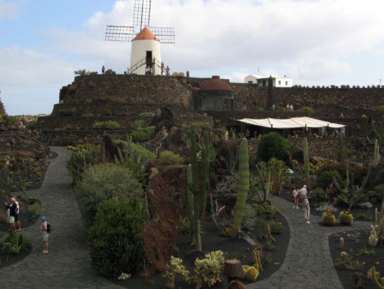 Jardín de Cactus