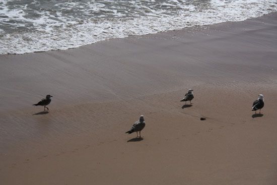 Strand von Cascais