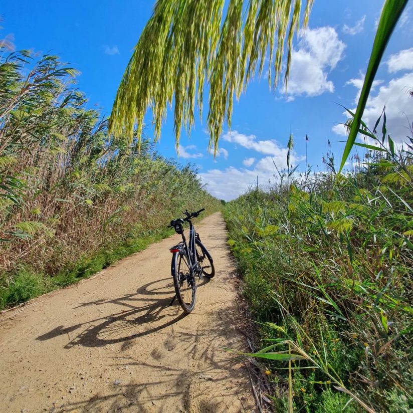 Radtour - im Parc Natural de s&apos;Albufera