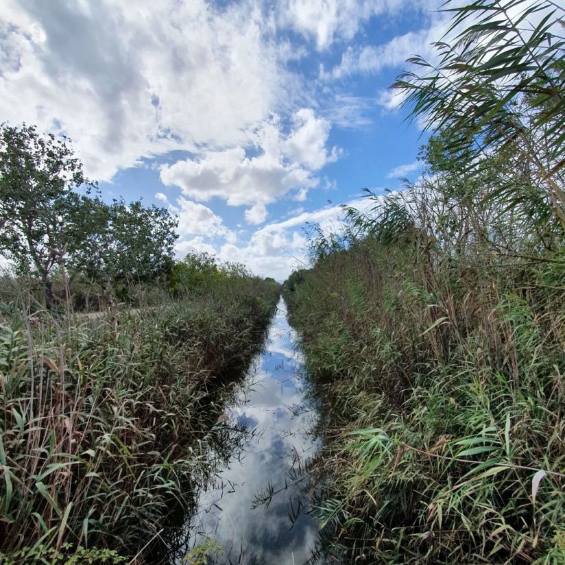 Parc Natural de s&apos;Albufera