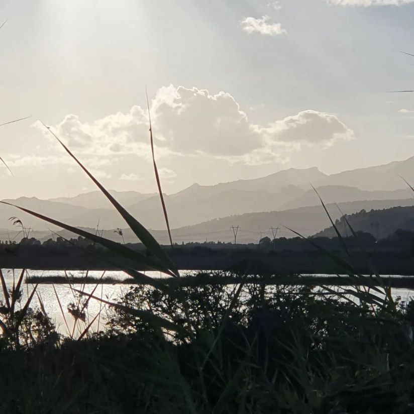 Parc Natural de s&apos;Albufera