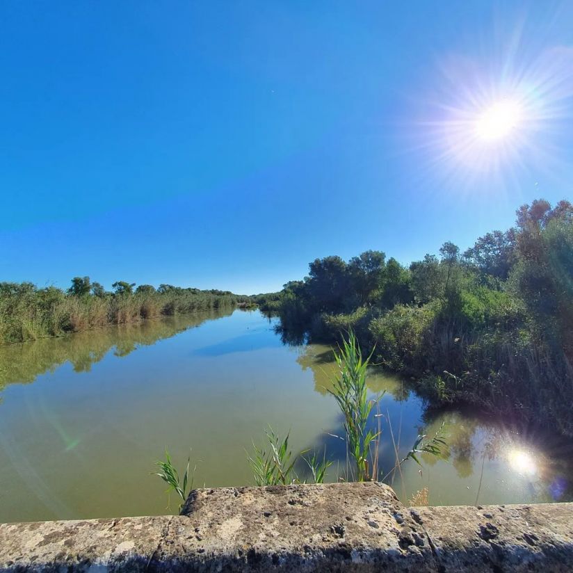 Parc Natural de s&apos;Albufera