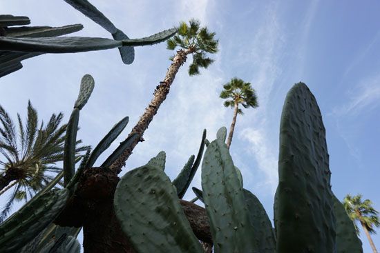 Jardin Majorelle in Marrakesch