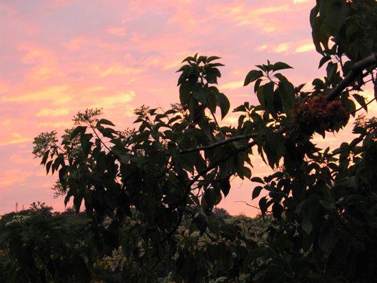 Puerto Ángel: Abendstimmung