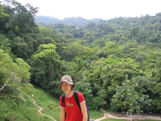 Palenque: Dschungel