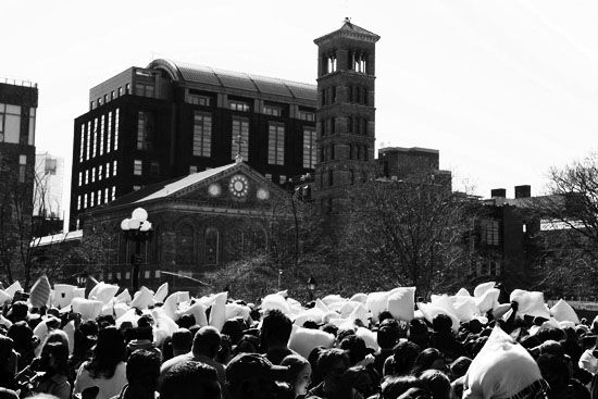 Kissenschlacht im Washington Square Park