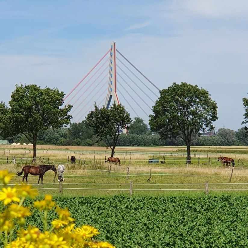 Fleher Brücke in Düsseldorf