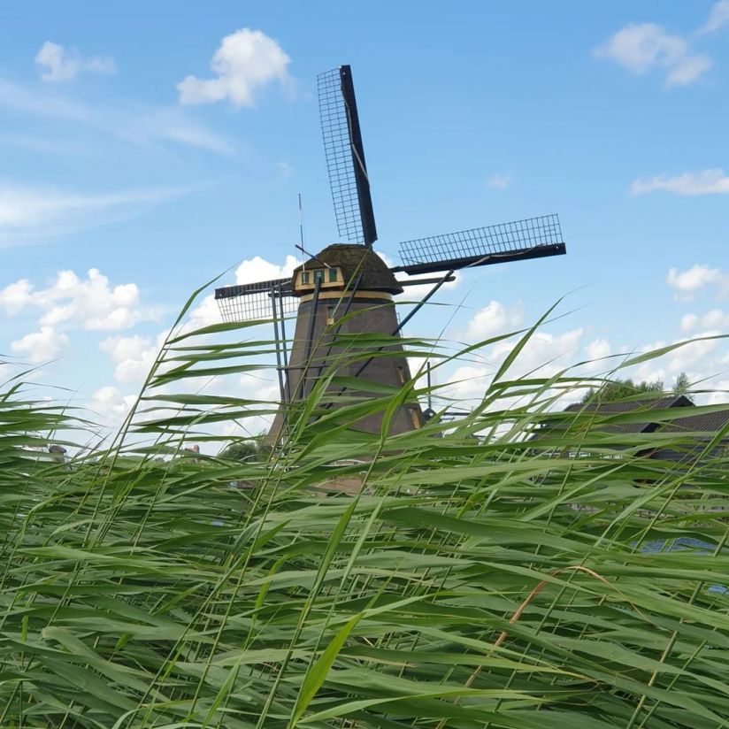 Windmühlen von Kinderdijk