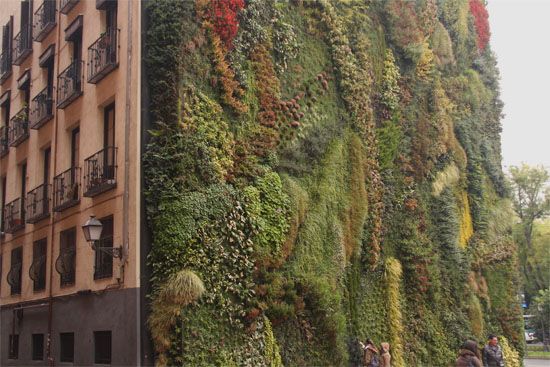 Vertical Garden am Caixa Forum