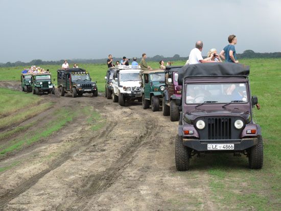 Elefantenbeobachtung auf Jeepsafari