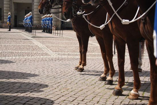 Wachwechsel beim Stockholmer Schloss