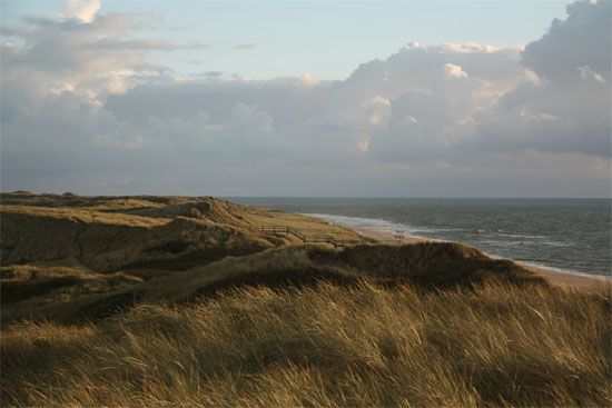 Dünen auf Sylt