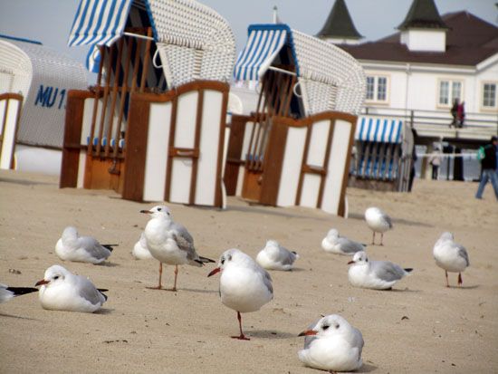 Am Strand von Ahlbeck