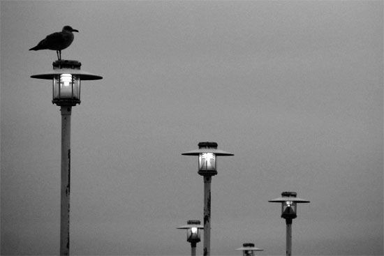 Auf der Seebrücke Ahlbeck