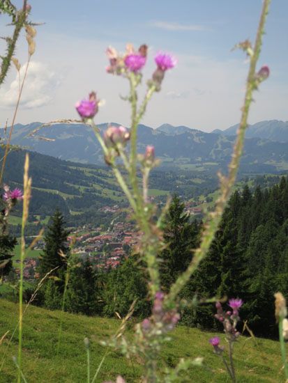 Ausblick auf Bad Hindelang