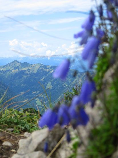 Auf dem Gipfel des Iseler