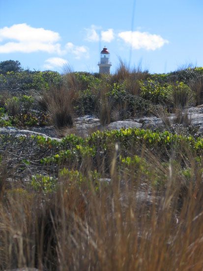 Kangaroo Island - Cape du Couedic