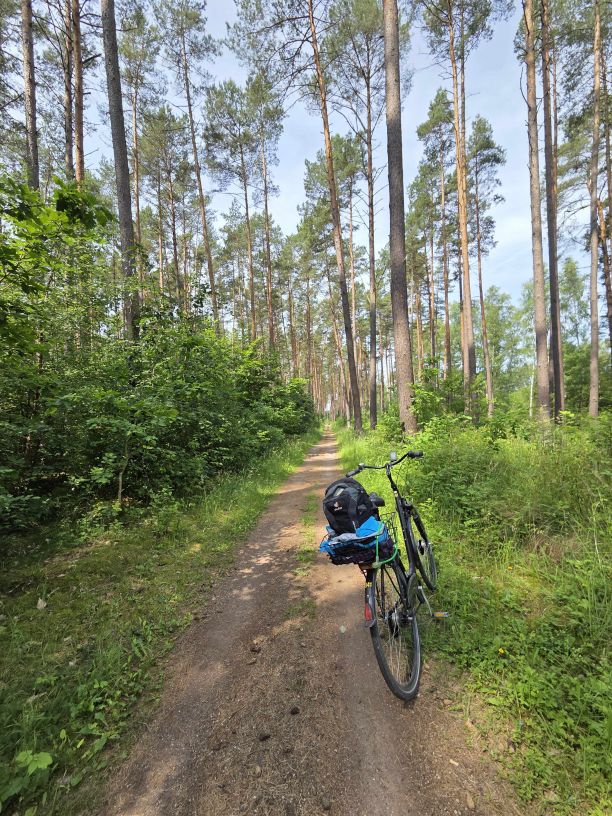 Radtour im Müritz Nationalpark