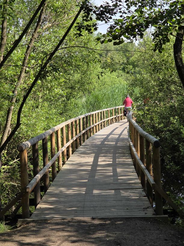 Mit dem Rad im Müritz Nationalpark